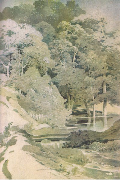 Faggio antico nella foresta di Windsor, Nature in Britain pubblicato da Collins, 1946 da Paul Sandby